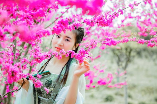 武汉树下品茗，高清美图赏心悦目